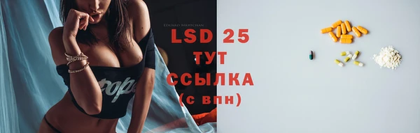 ПСИЛОЦИБИНОВЫЕ ГРИБЫ Абаза