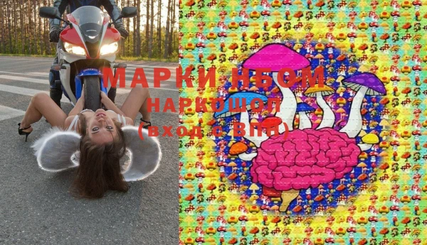 ПСИЛОЦИБИНОВЫЕ ГРИБЫ Абаза