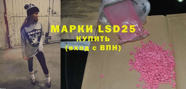 ПСИЛОЦИБИНОВЫЕ ГРИБЫ Абаза