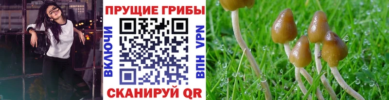 Галлюциногенные грибы ЛСД где можно купить наркотик Рассказово